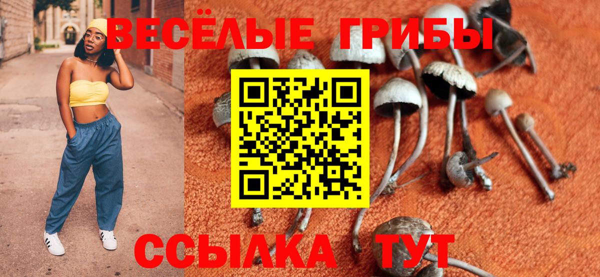 Галлюциногенные грибы мицелий Амурск