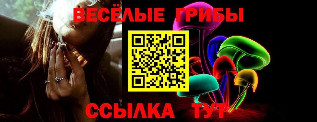 Амурск  Псилоцибиновые грибы Cubensis  Псилоцибиновые грибы мухоморы  где продают   Вход с VPN 